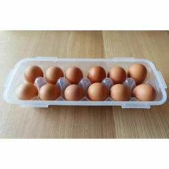 Nouveau ???? Boîte 12 Œufs Plastique 32 x 13 cm x H 7,5 cm Lock and Lock ???? -Lock and Lock Shop boite 12 oeufs plastique 32 x 13 cm x h 75 cm lock and lock 3